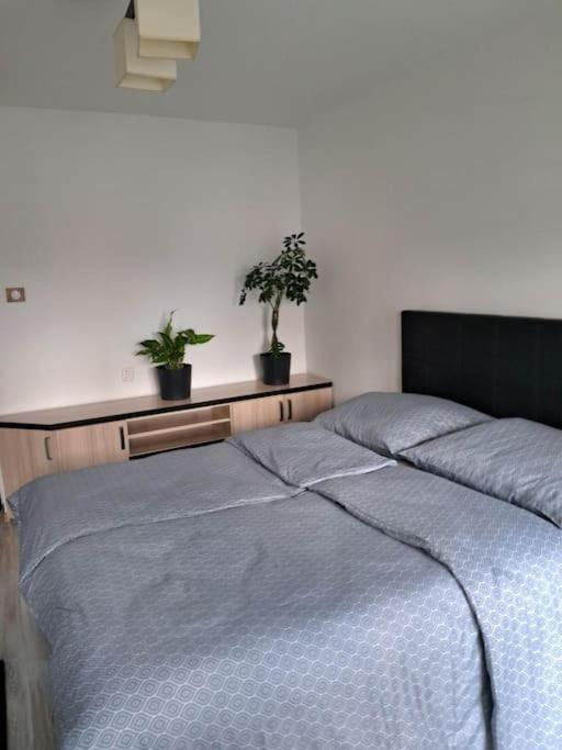 Apartament Na 4 Pietrze Nowy Targ Buitenkant foto